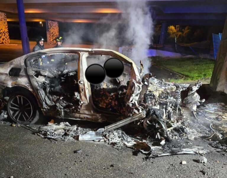 021A93CF-2B2D-43CE-9484-F6985EFFA578