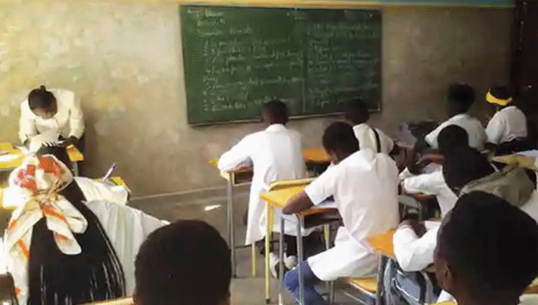 Captura de ecrã 2024-11-24 112556