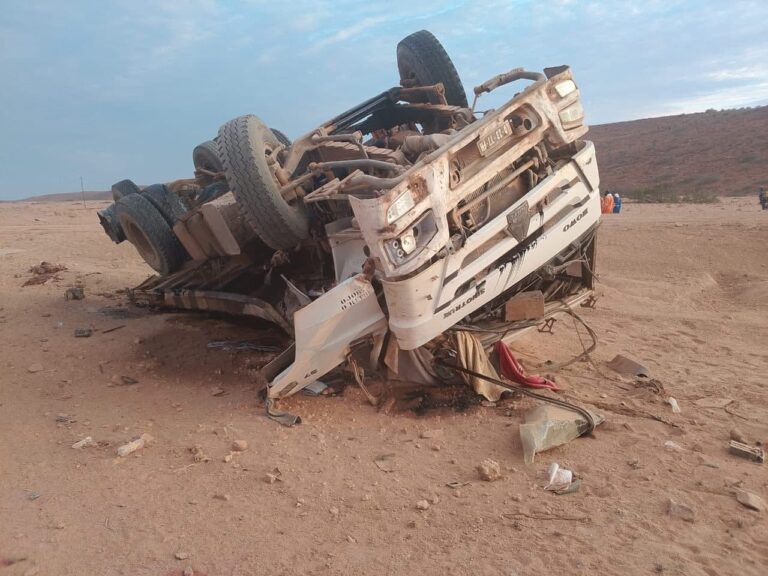 WhatsApp Image 2025-11-03 at 20.17.13