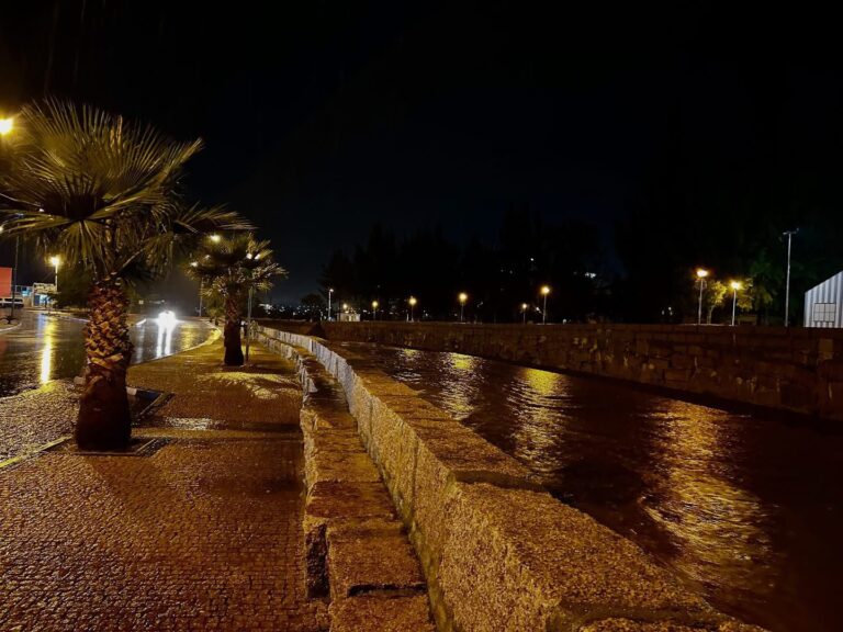 WhatsApp Image 2025-11-03 at 21.10.35