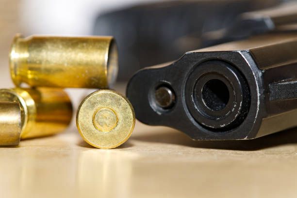 WhatsApp Image 2025-11-26 at 06.47.27