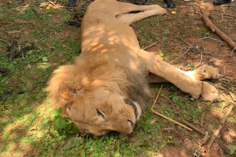 3084C8FF-2F53-466F-B905-E618B698A339