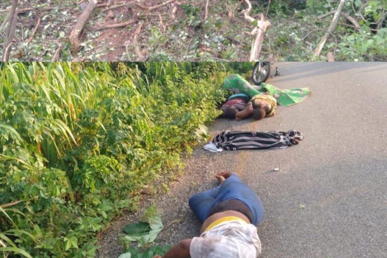 E12C238C-2D8E-4E0D-9958-40F6C6DBF4D4