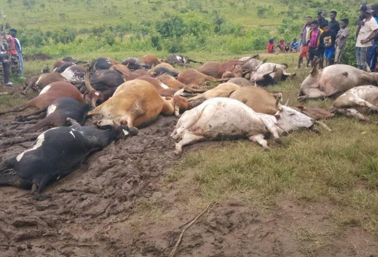 085344D6-224D-4B4F-82A4-D8AFC0F2B4C4