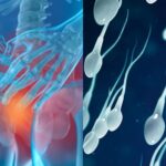 9466BAC8-395E-4C0E-BB8C-C29EFD38816E