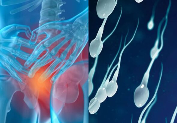 9466BAC8-395E-4C0E-BB8C-C29EFD38816E