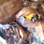 6AEE6CE1-BC92-43F4-89FE-7F91AE544B6D