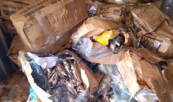 6AEE6CE1-BC92-43F4-89FE-7F91AE544B6D