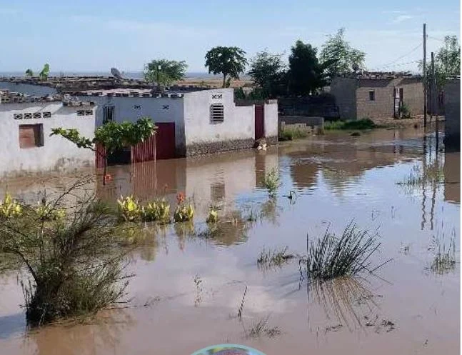 D9DCE03E-FA20-4058-8B4B-339BCDAAB024