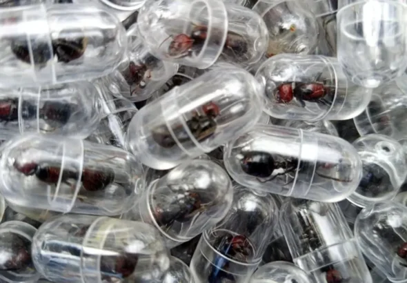 DF3CC35C-F3D5-4CBA-AEB3-DD9349EF855B