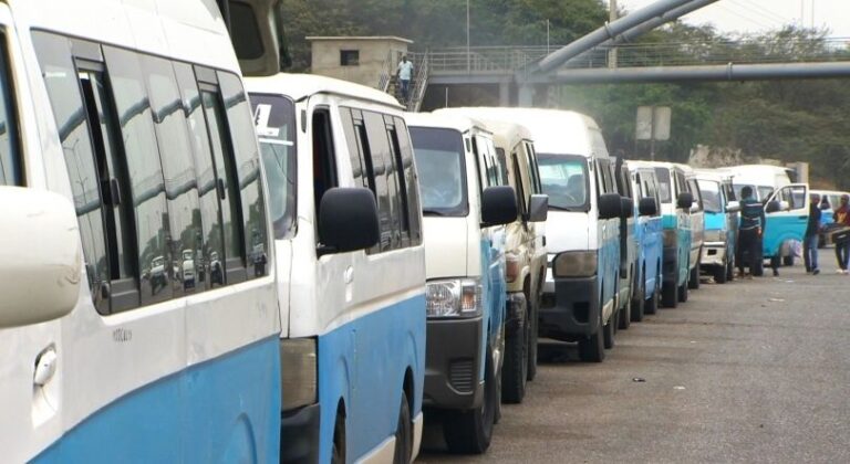 WhatsApp Image 2026-03-15 at 13.13.49