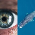 WhatsApp Image 2026-03-15 at 19.13.17