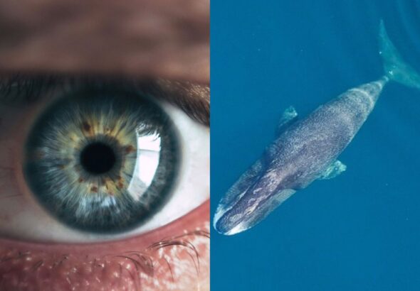 WhatsApp Image 2026-03-15 at 19.13.17