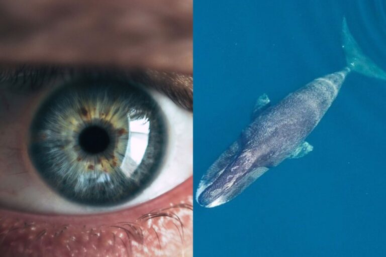 WhatsApp Image 2026-03-15 at 19.13.17